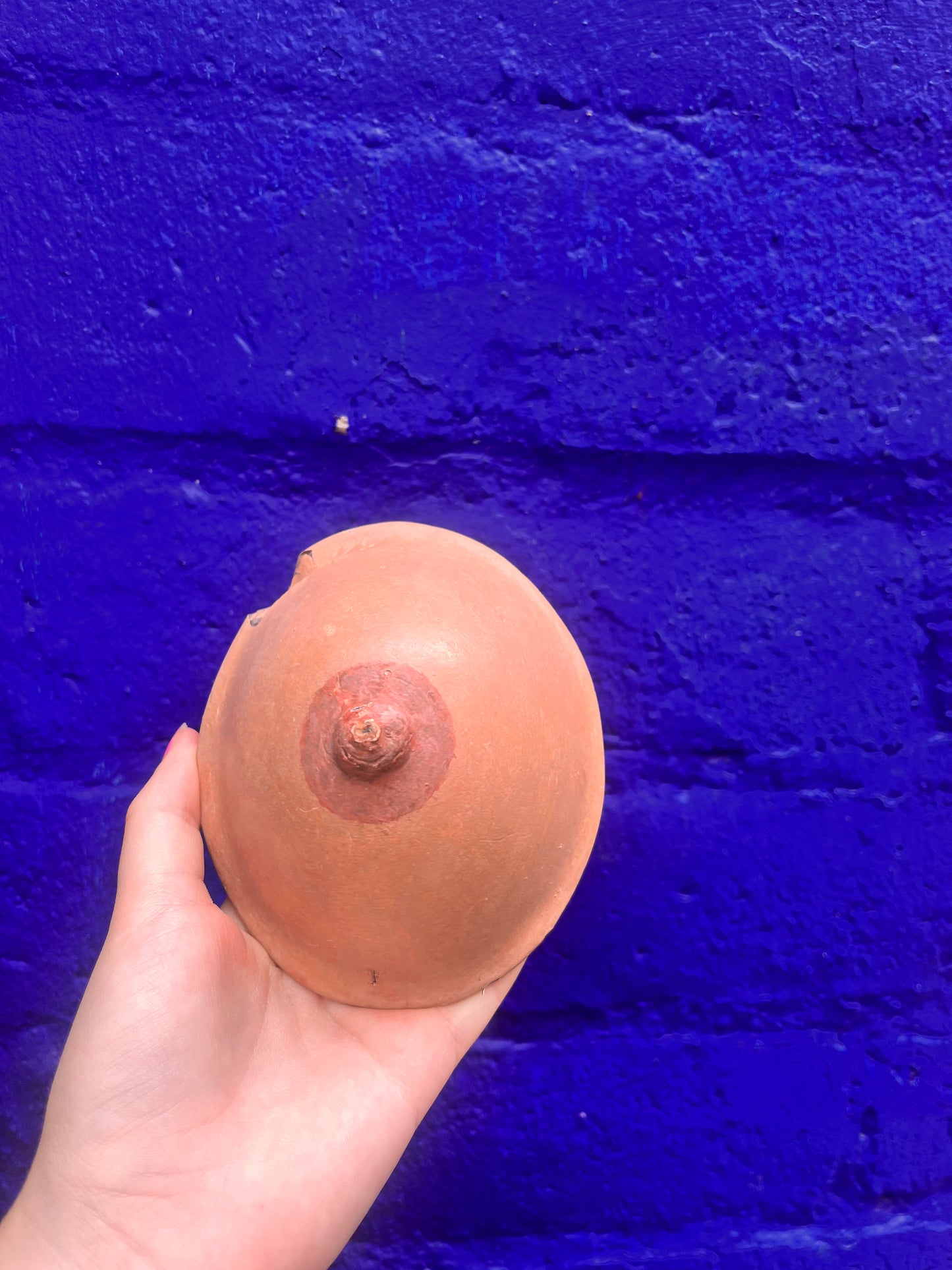 Breast Pottery By Colin Roberts