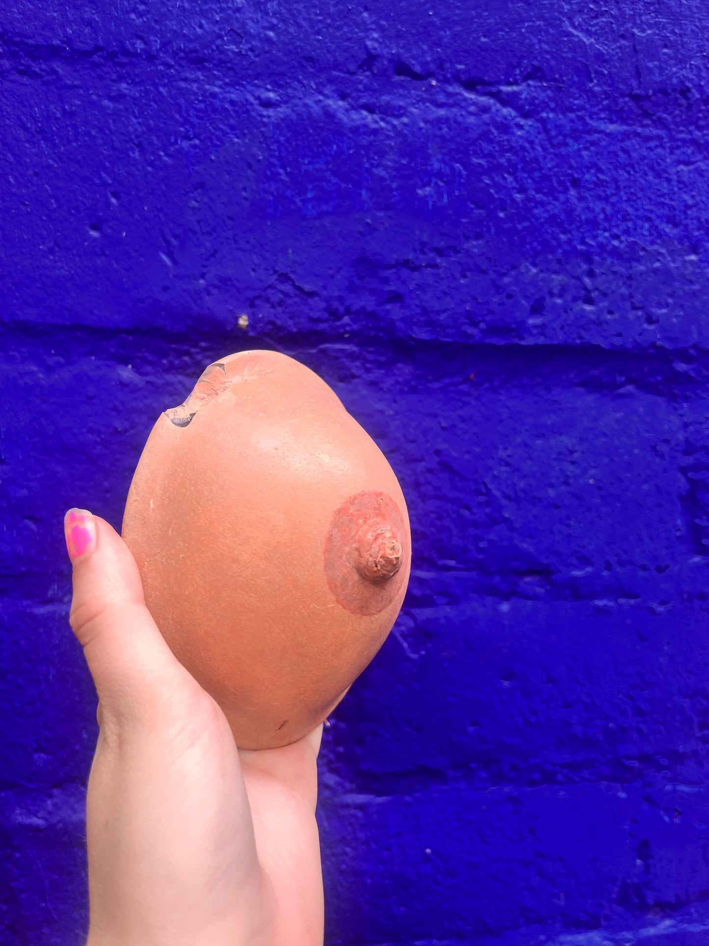 Breast Pottery By Colin Roberts